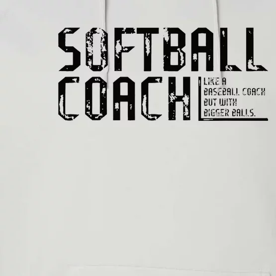 AS Tees Funny Comical Softball Coach Baseball Bigger Balls Performance Fleece Hoodie