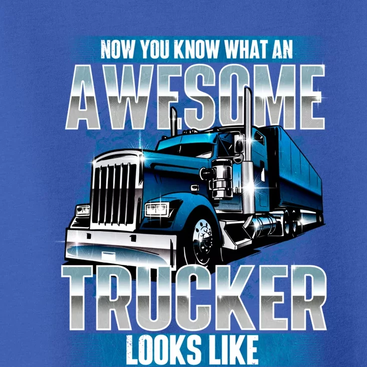 Being A Trucker Truck Driver Cool Driver Gift Poster