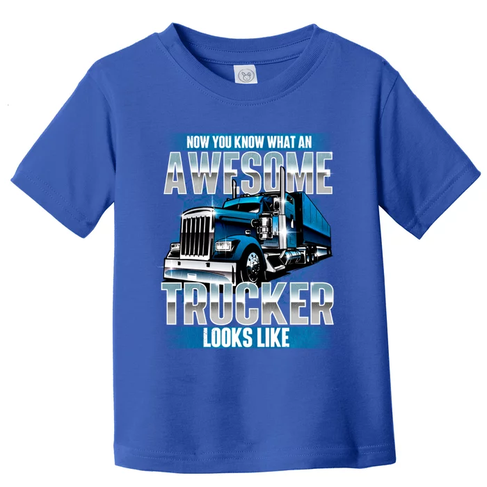 Funny Trucker Shirt, Funny Trucker Gift For Truck Drivers Big Rig