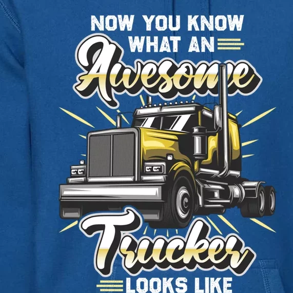 Awesome Trucker Gift Semi Truck Driver Big Rig Truckers Gift Premium Hoodie