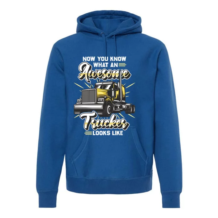 Awesome Trucker Gift Semi Truck Driver Big Rig Truckers Gift Premium Hoodie