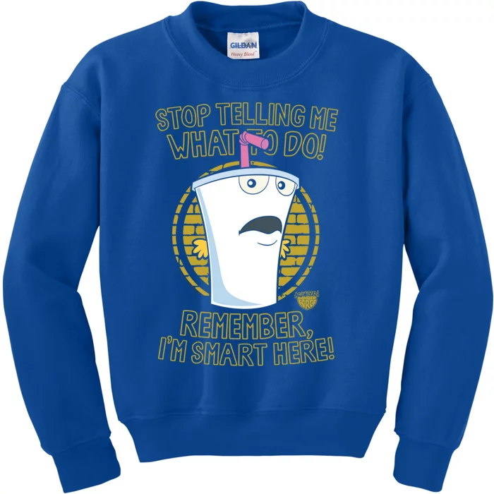 Aqua Teen Hunger Force Stop Cool Gift Kids Sweatshirt