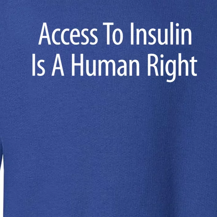 Access To Insulin Is A Hu Right Funny Gift Toddler Sweatshirt