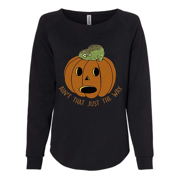 AinT That Just The Way Retro Style Pumpkin Womens California Wash Sweatshirt