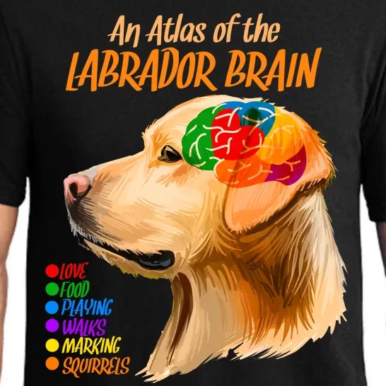 Atlas of The Labrador Retriever Brain Pajama Set