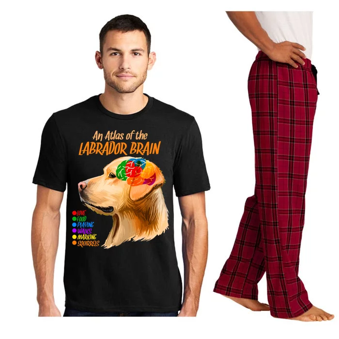 Atlas of The Labrador Retriever Brain Pajama Set