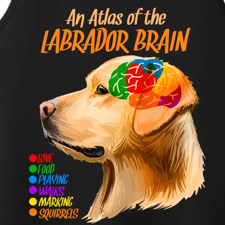 Atlas of The Labrador Retriever Brain Performance Tank