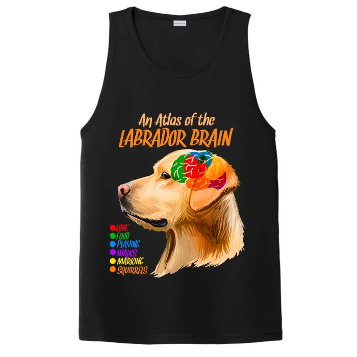 Atlas of The Labrador Retriever Brain Performance Tank