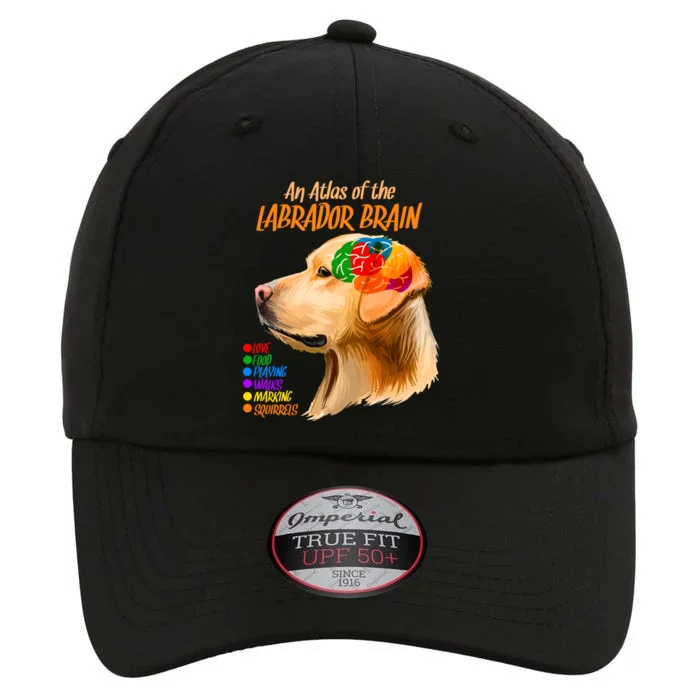 Atlas of The Labrador Retriever Brain The Original Performance Cap