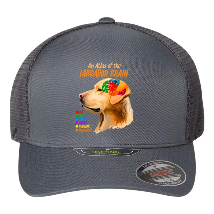 Atlas of The Labrador Retriever Brain Flexfit Unipanel Trucker Cap