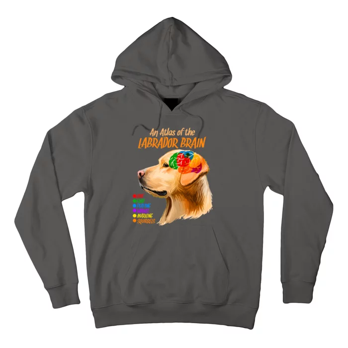 Atlas of The Labrador Retriever Brain Hoodie