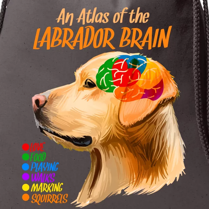 Atlas of The Labrador Retriever Brain Drawstring Bag