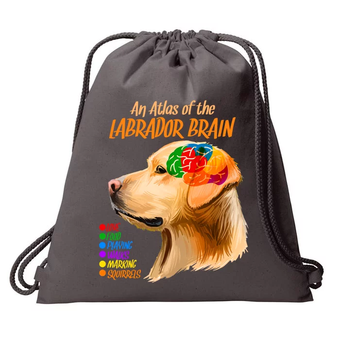 Atlas of The Labrador Retriever Brain Drawstring Bag