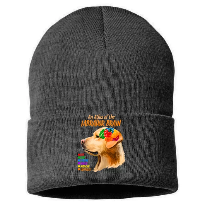 Atlas of The Labrador Retriever Brain Sustainable Knit Beanie