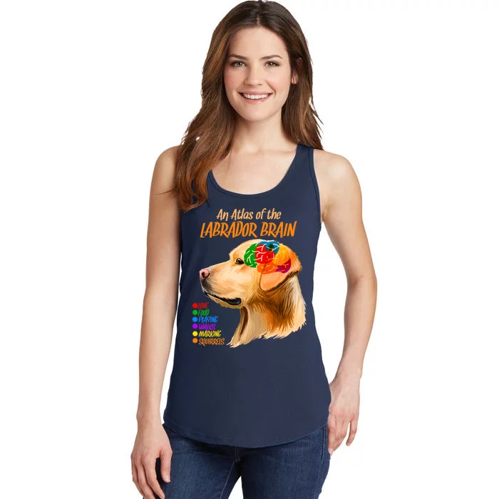 Atlas of The Labrador Retriever Brain Ladies Essential Tank