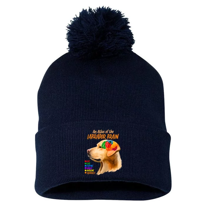 Atlas of The Labrador Retriever Brain Pom Pom 12in Knit Beanie