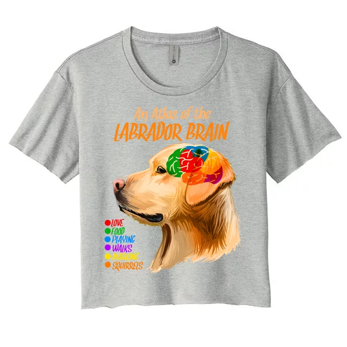 Atlas of The Labrador Retriever Brain Women's Crop Top Tee