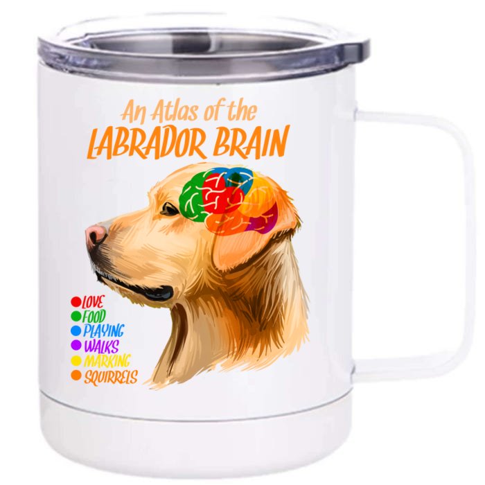 Atlas of The Labrador Retriever Brain Front & Back 12oz Stainless Steel Tumbler Cup