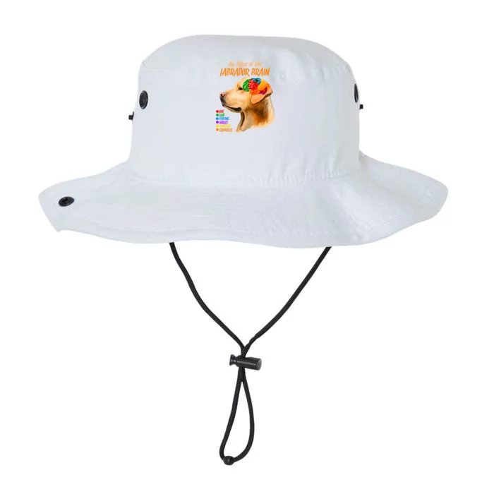 Atlas of The Labrador Retriever Brain Legacy Cool Fit Booney Bucket Hat