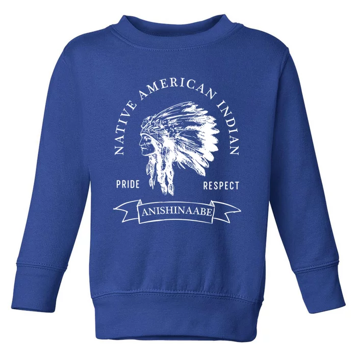 Anishinaabe Tribe Native American Indian Pride Respect Vinta Gift Toddler Sweatshirt