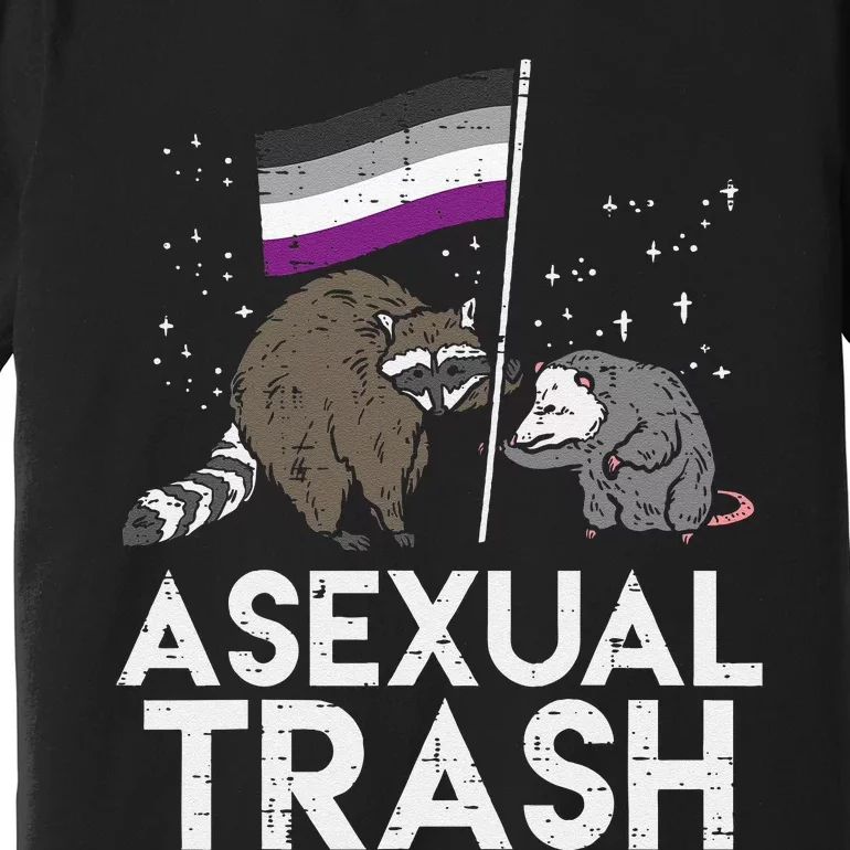 Asexual Trash Raccoon Opossum Asexual Flag Ace Pride LGBTQ Premium T-Shirt