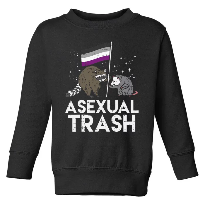 Asexual Trash Raccoon Opossum Asexual Flag Ace Pride Lgbtq Toddler Sweatshirt