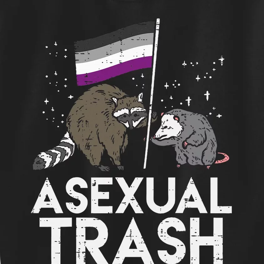 Asexual Trash Raccoon Opossum Asexual Flag Ace Pride Lgbtq Kids Sweatshirt