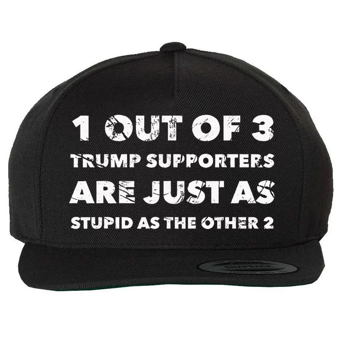 Antitrump Trump Supporters Are Just Stupid Wool Snapback Cap