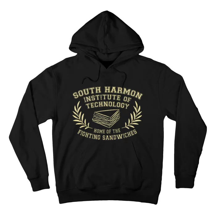 Accepted To The South Harmon Institute Of Technology Student Hoodie