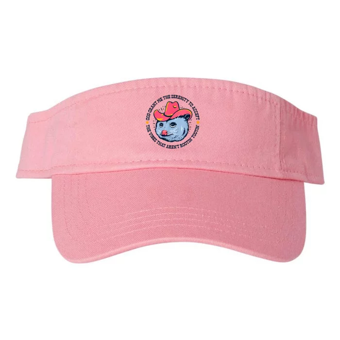 Accept The Vibes That Arent Rootin Tootin Funny Opossum Valucap Bio-Washed Visor