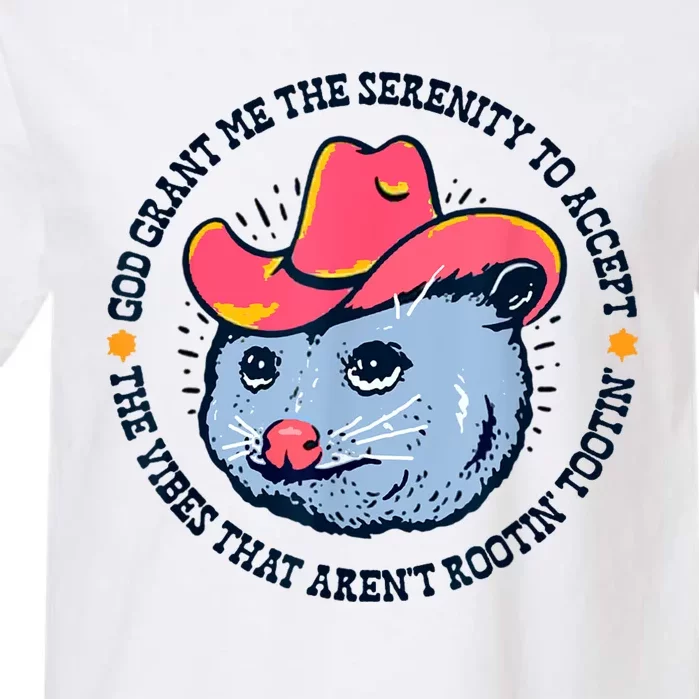 Accept The Vibes That Arent Rootin Tootin Funny Opossum Garment-Dyed Heavyweight T-Shirt