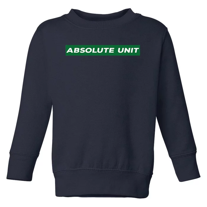 Absolute Unit Toddler Sweatshirt