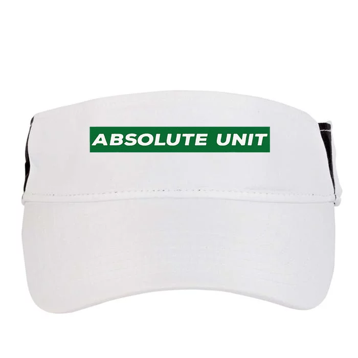 Absolute Unit Adult Drive Performance Visor