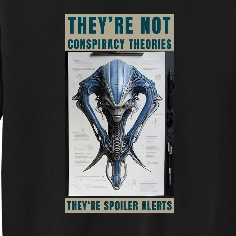 Alien Ufo Conspiracy Theory Disclosure Sweatshirt