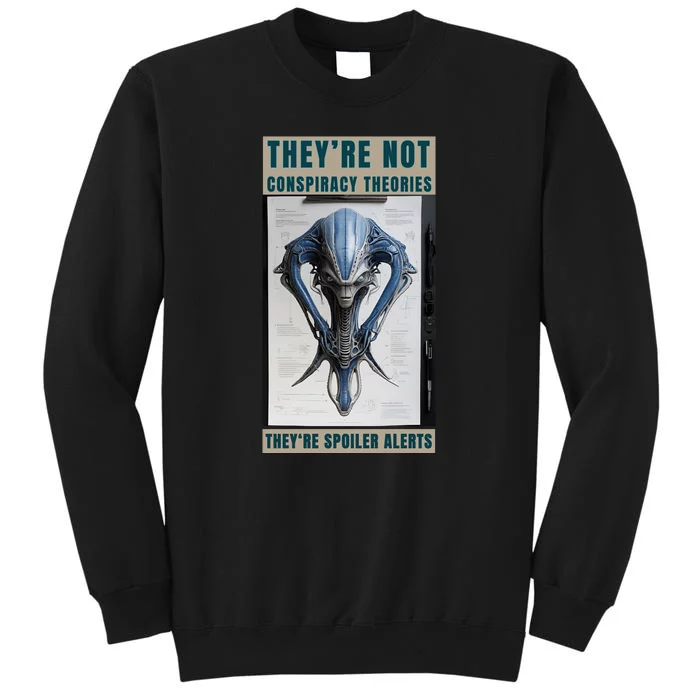 Alien Ufo Conspiracy Theory Disclosure Sweatshirt