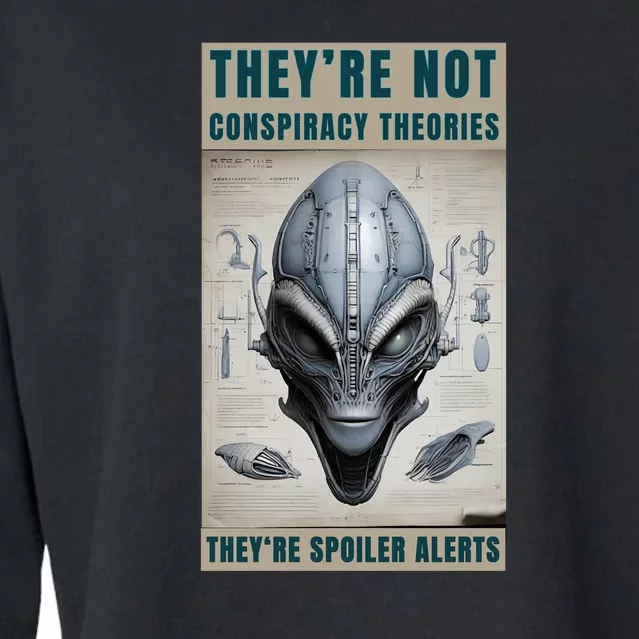 Alien Ufo Conspiracy Theory Disclosure Cropped Pullover Crew