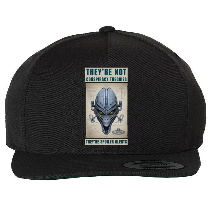 Alien Ufo Conspiracy Theory Disclosure Wool Snapback Cap