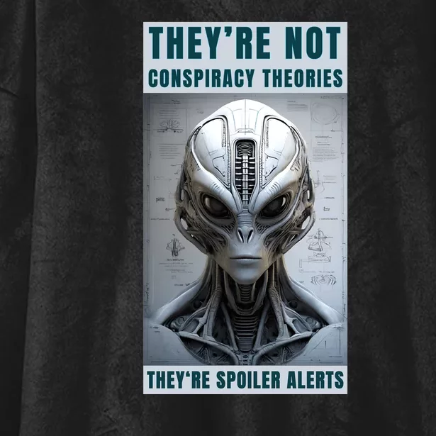 Alien Ufo Conspiracy Theory Disclosure Hooded Wearable Blanket