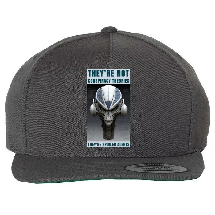 Alien Ufo Conspiracy Theory Disclosure Wool Snapback Cap