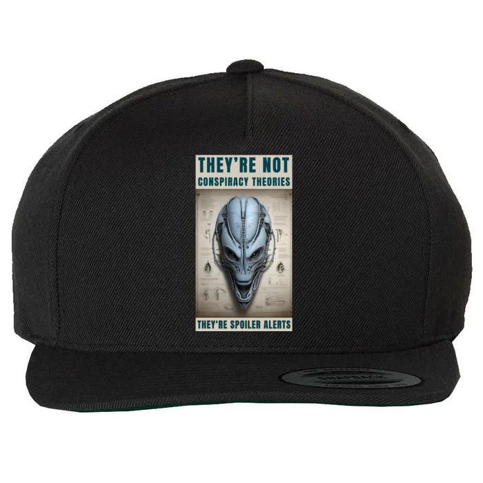 Alien Ufo Conspiracy Theory Disclosure Wool Snapback Cap