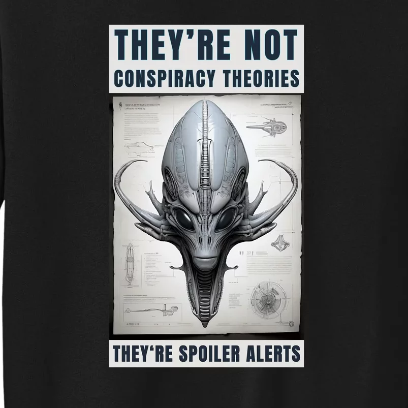 Alien Ufo Conspiracy Theory Disclosure Tall Sweatshirt