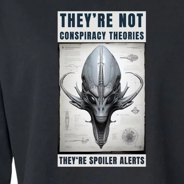 Alien Ufo Conspiracy Theory Disclosure Cropped Pullover Crew