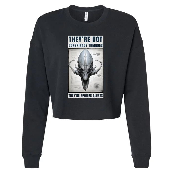 Alien Ufo Conspiracy Theory Disclosure Cropped Pullover Crew