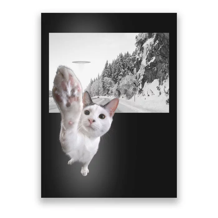 Alien UFO Funny Cat Reaching, Space Cat Funny Cat Alien Poster