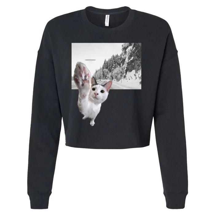 Alien UFO Funny Cat Reaching, Space Cat Funny Cat Alien Cropped Pullover Crew