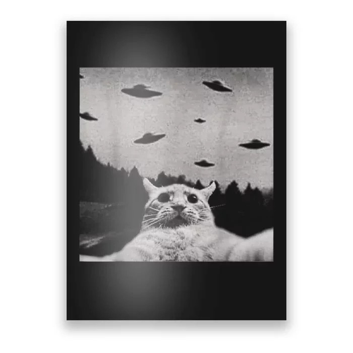 Alien UFO Funny Cat Poster