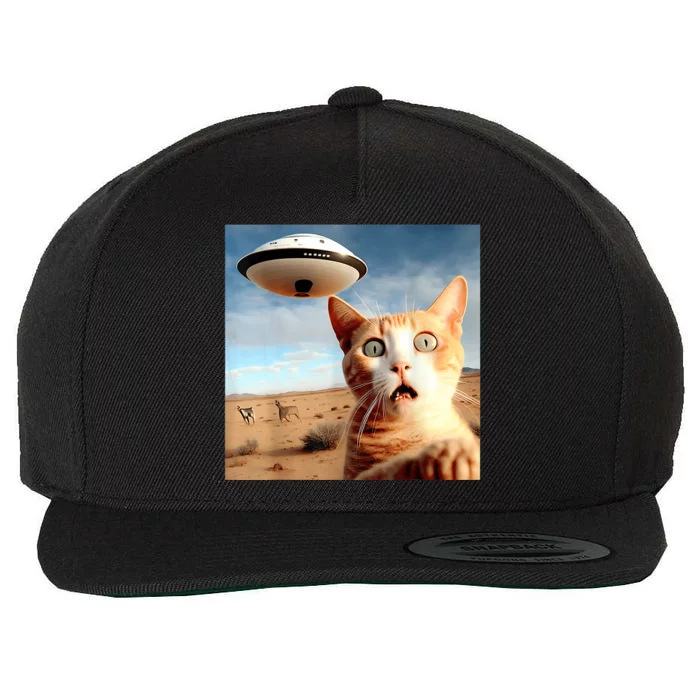 Alien UFO Funny Cat Selfie Wool Snapback Cap