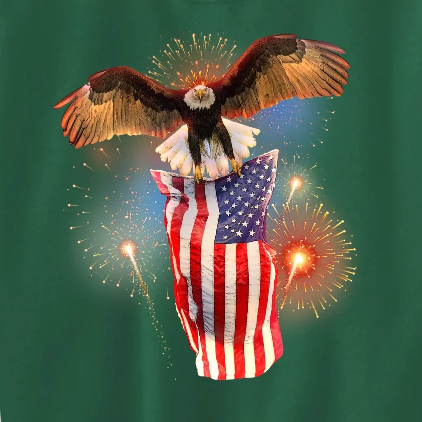 America USA Flag Eagle Fireworks Kids Sweatshirt