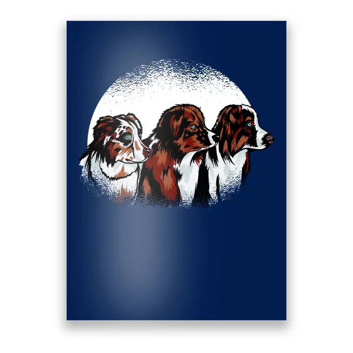 Australian Shepherd Dogs Poster