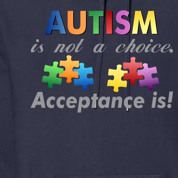 Autism I Not A Choice Acceptance Is Premium Hoodie